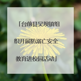 台前县吴坝镇组织开展防溺亡安全教育进校园活动
