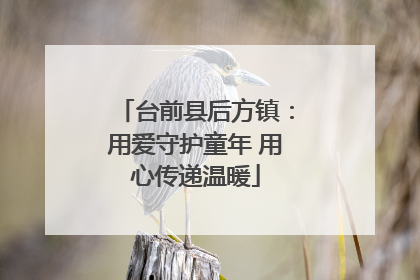 台前县后方镇：用爱守护童年 用心传递温暖