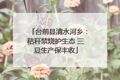台前县清水河乡：秸秆禁烧护生态 三夏生产保丰收