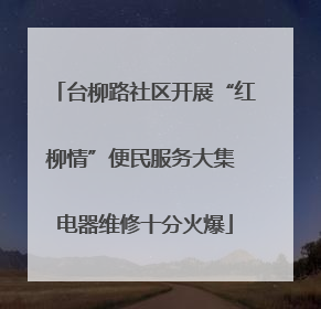 台柳路社区开展“红柳情”便民服务大集 电器维修十分火爆