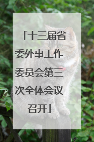 十三届省委外事工作委员会第三次全体会议召开