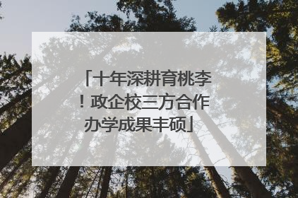 十年深耕育桃李！政企校三方合作办学成果丰硕