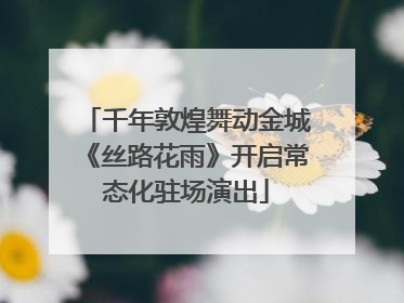 千年敦煌舞动金城《丝路花雨》开启常态化驻场演出