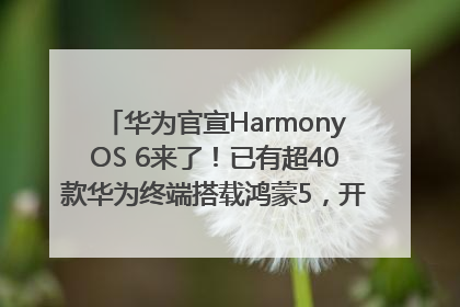 华为官宣HarmonyOS 6来了！已有超40款华为终端搭载鸿蒙5，开发者突破800万