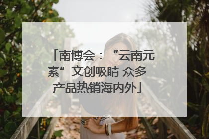 南博会：“云南元素”文创吸睛 众多产品热销海内外