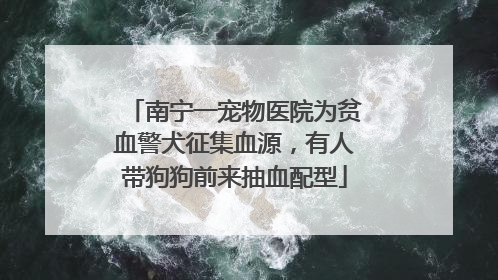南宁一宠物医院为贫血警犬征集血源，有人带狗狗前来抽血配型