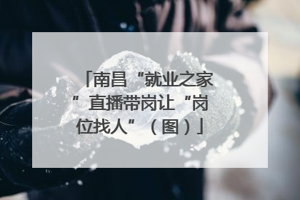 南昌“就业之家”直播带岗让“岗位找人”（图）