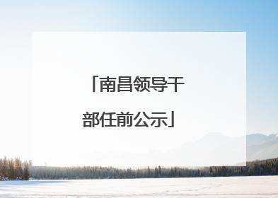 南昌领导干部任前公示