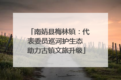 南靖县梅林镇：代表委员巡河护生态 助力古镇文旅升级