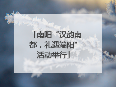 南阳“汉韵南都，礼遇端阳”活动举行
