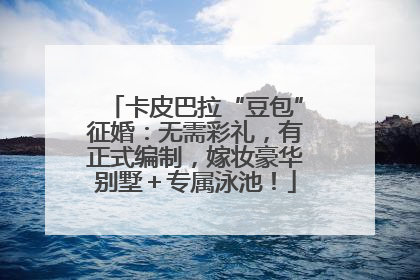 卡皮巴拉“豆包”征婚：无需彩礼，有正式编制，嫁妆豪华别墅＋专属泳池！