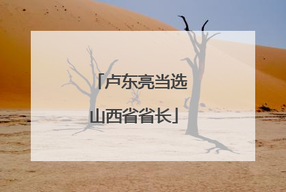 卢东亮当选山西省省长