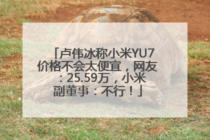卢伟冰称小米YU7价格不会太便宜，网友：25.59万，小米副董事：不行！
