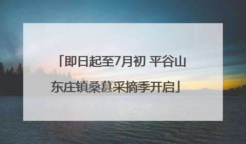即日起至7月初 平谷山东庄镇桑葚采摘季开启