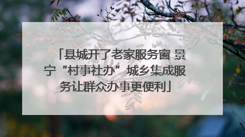 县城开了老家服务窗 景宁“村事社办”城乡集成服务让群众办事更便利