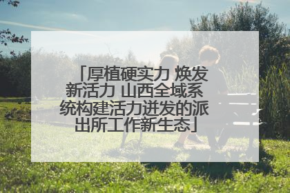 厚植硬实力 焕发新活力 山西全域系统构建活力迸发的派出所工作新生态