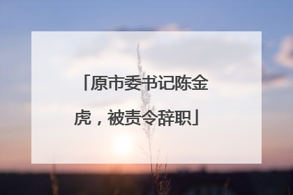 原市委书记陈金虎，被责令辞职