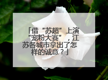 借“苏超”上演“宠粉大赛”，江苏各城市拿出了怎样的诚意？