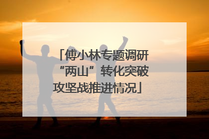 傅小林专题调研“两山”转化突破攻坚战推进情况