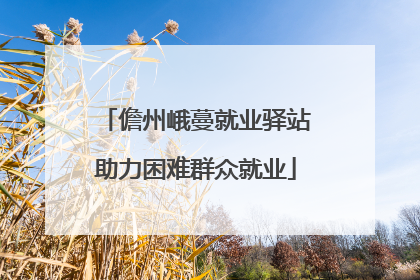 儋州峨蔓就业驿站助力困难群众就业