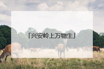 兴安岭上万物生
