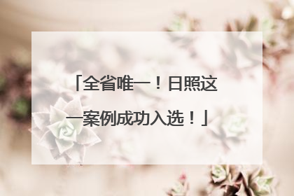 全省唯一！日照这一案例成功入选！