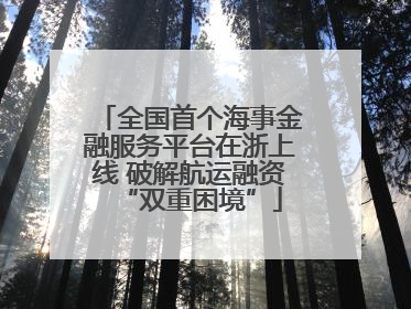 全国首个海事金融服务平台在浙上线 破解航运融资“双重困境”