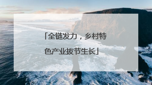 全链发力，乡村特色产业拔节生长