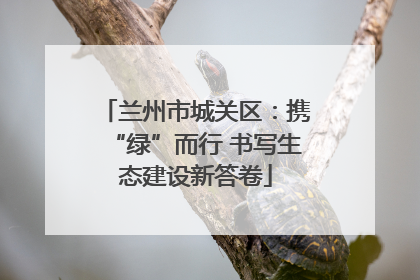 兰州市城关区：携“绿”而行 书写生态建设新答卷