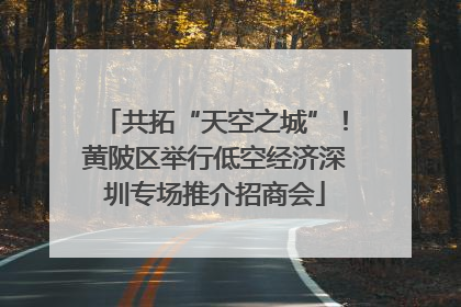 共拓“天空之城”！黄陂区举行低空经济深圳专场推介招商会