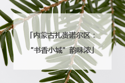 内蒙古扎赉诺尔区：“书香小城”韵味浓