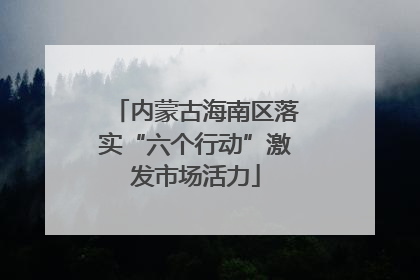 内蒙古海南区落实“六个行动”激发市场活力