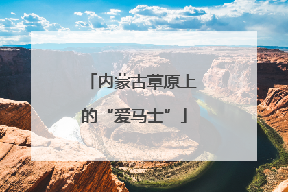 内蒙古草原上的“爱马士”