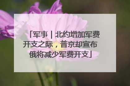 军事｜北约增加军费开支之际，普京却宣布俄将减少军费开支