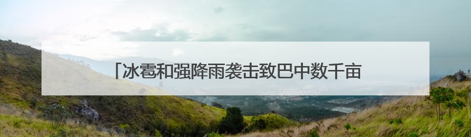 冰雹和强降雨袭击致巴中数千亩农作物受损，政府多举措救灾