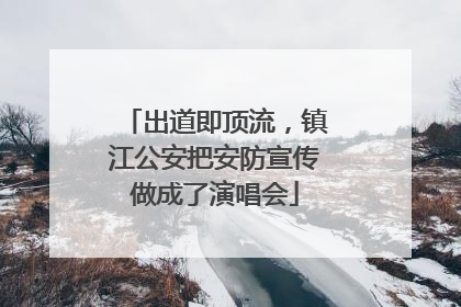 出道即顶流，镇江公安把安防宣传做成了演唱会