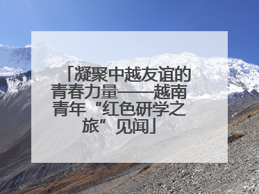 凝聚中越友谊的青春力量——越南青年“红色研学之旅”见闻