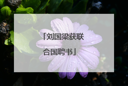 刘国梁获联合国聘书