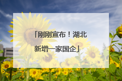 刚刚宣布！湖北新增一家国企