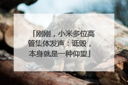 刚刚，小米多位高管集体发声：诋毁，本身就是一种仰望