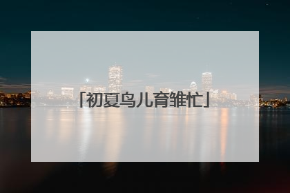 初夏鸟儿育雏忙