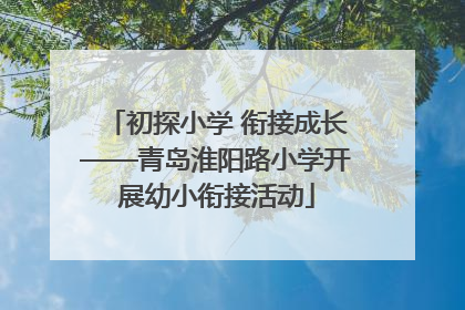 初探小学 衔接成长——青岛淮阳路小学开展幼小衔接活动