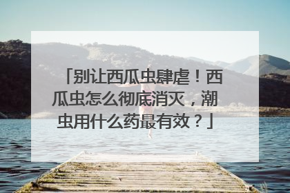 别让西瓜虫肆虐！西瓜虫怎么彻底消灭，潮虫用什么药最有效？