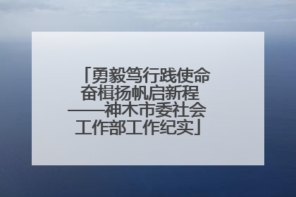勇毅笃行践使命 奋楫扬帆启新程——神木市委社会工作部工作纪实