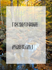 区领导调研西渡街道