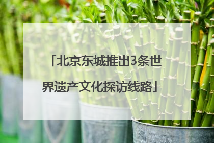 北京东城推出3条世界遗产文化探访线路