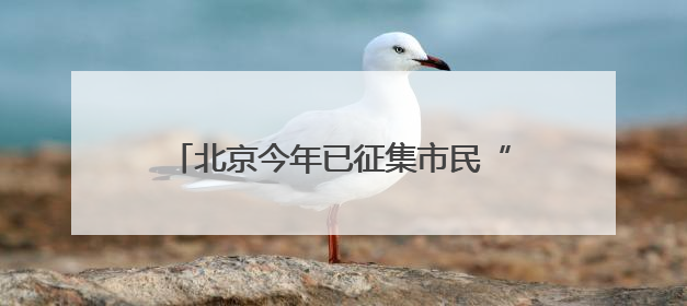 北京今年已征集市民“点检”意见4.5万次，抽检1.8万批次