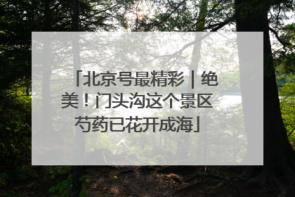 北京号最精彩｜绝美！门头沟这个景区芍药已花开成海