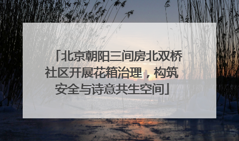 北京朝阳三间房北双桥社区开展花箱治理，构筑安全与诗意共生空间