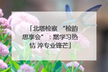 北塔检察 “检韵思享会”：燃学习热情 淬专业锋芒
